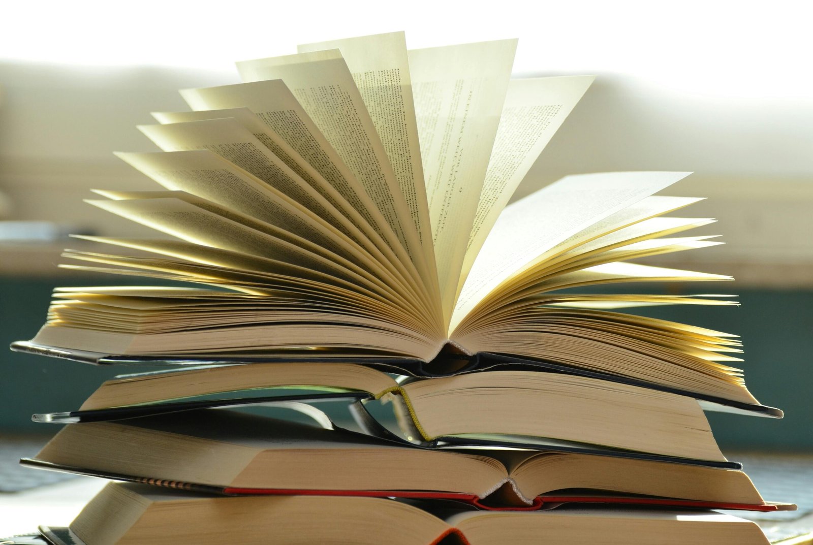 educational plan